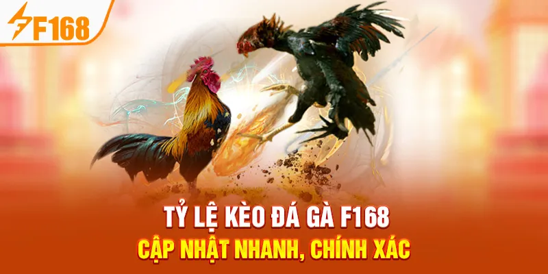 Tỷ Lệ Kèo Đá Gà F168 – Cập Nhật Nhanh, Chính Xác